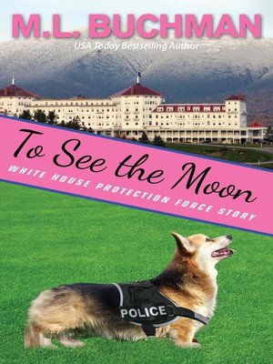 To See the Moon - ebook